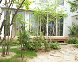 テラス、植栽の施工例です