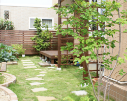 植栽、グランドカバーの施工例です