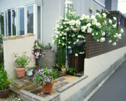 草花植え込みの施工例です