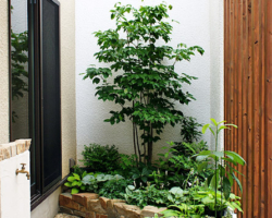 植栽の施工例です