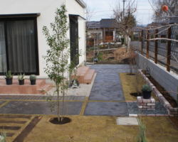 植栽、グランドカバーの施工例です